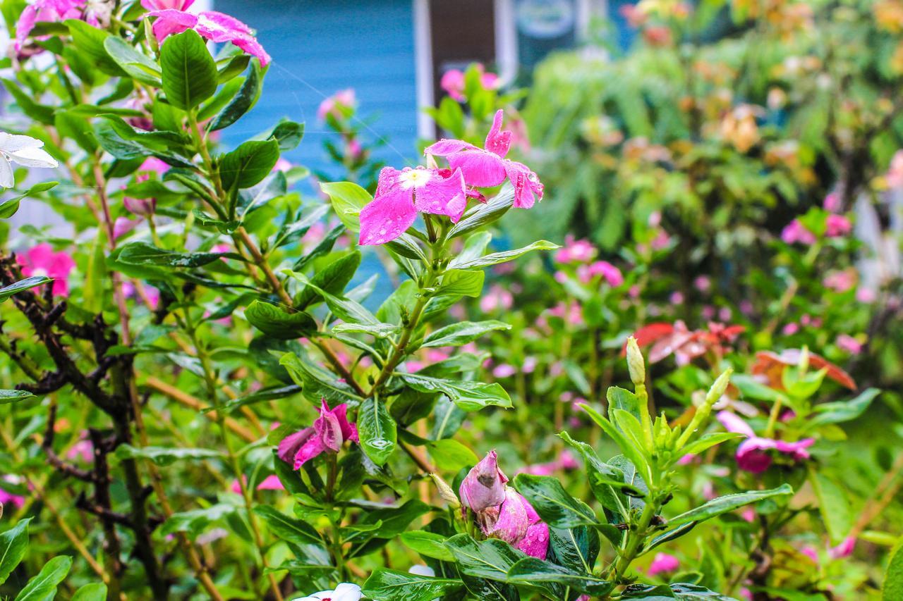 Cottages @ Hill Resort Mu Si Ngoại thất bức ảnh